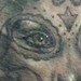 tattoo galleries/ - untitled - 34496